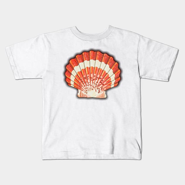 Illustrated sea shell snail. Colorful vintage drawing Kids T-Shirt by Marccelus